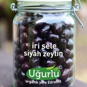 İRİ SELE SİYAH ZEYTİN (1 KG)