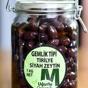 GEMLİK TİPİ TİRİLYE ZEYTİN (1 KG) M