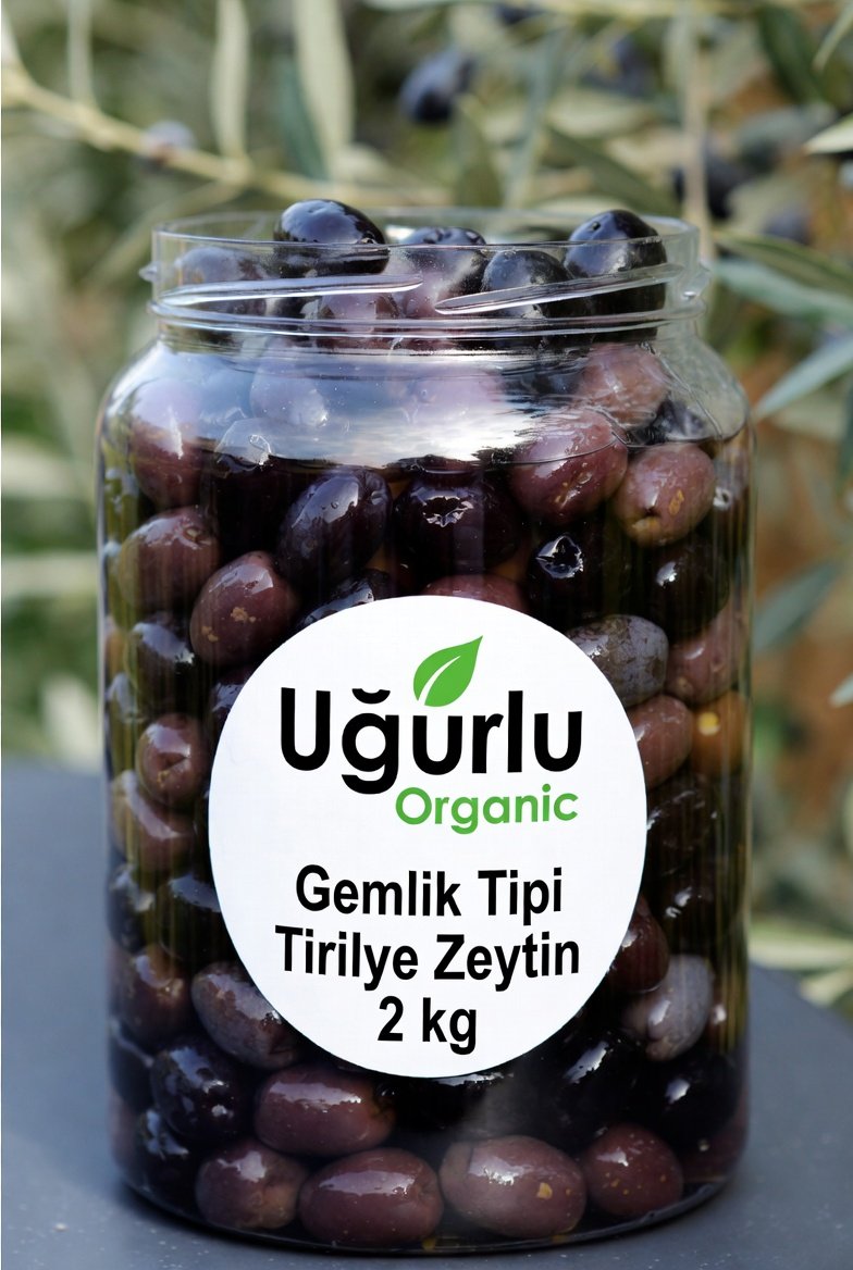 GEMLİK TİPİ TİRİLYE ZEYTİN (2 KG) M - Görsel 2