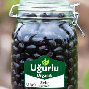 İRİ SELE SİYAH ZEYTİN (1,5 KG)