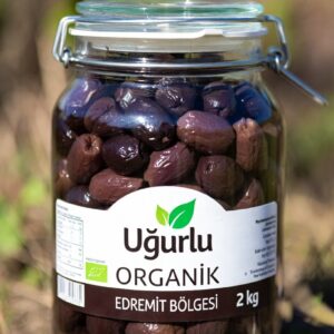 İRİ SELE SİYAH ZEYTİN (2 KG)